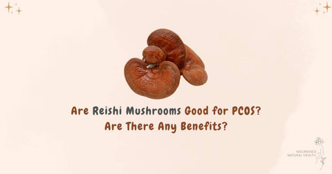Are Reishi Mushrooms Good for PCOS? Are There Any Benefits?