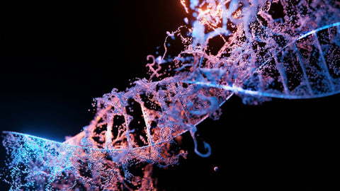 PCOS Across Generations: What This New Research Is Revealing