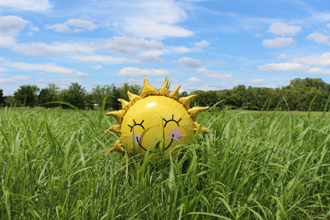 Vitamin D & PCOS: More Than a Deficiency Story